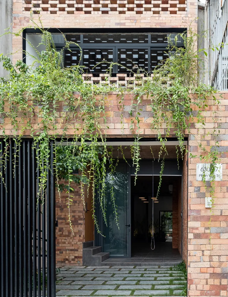 chon-cay-gi-trong-trong-nha-6