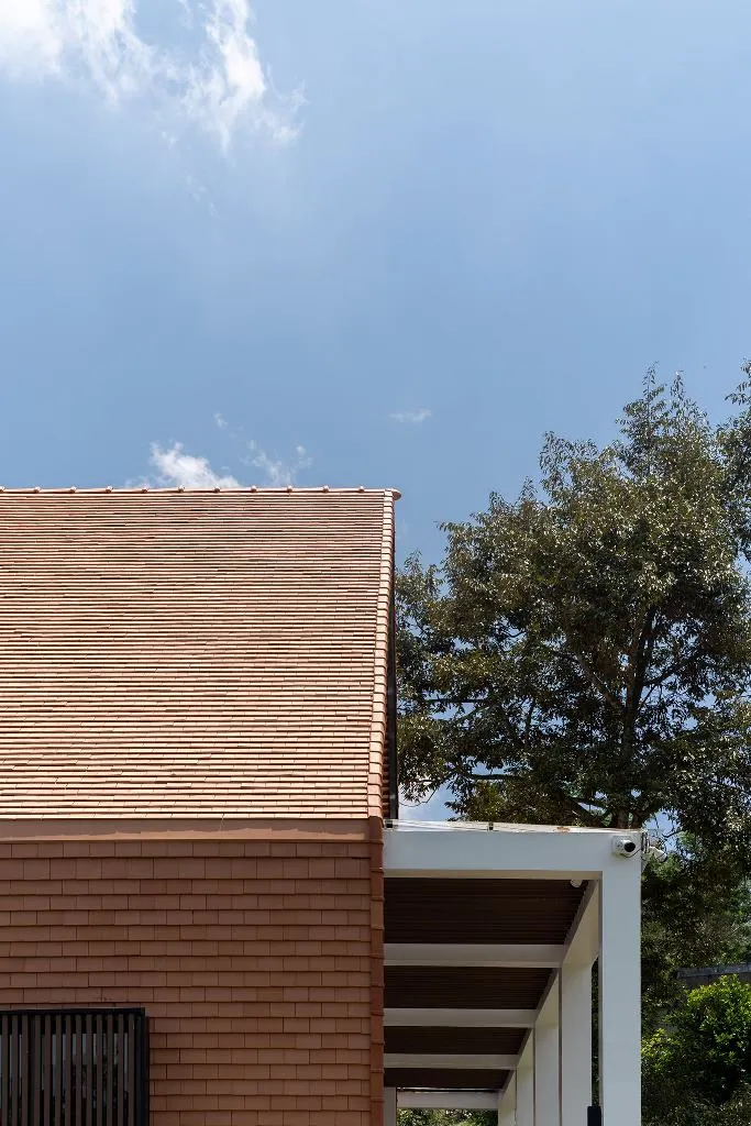 tranh-nang-huong-tay-sau-nha-6