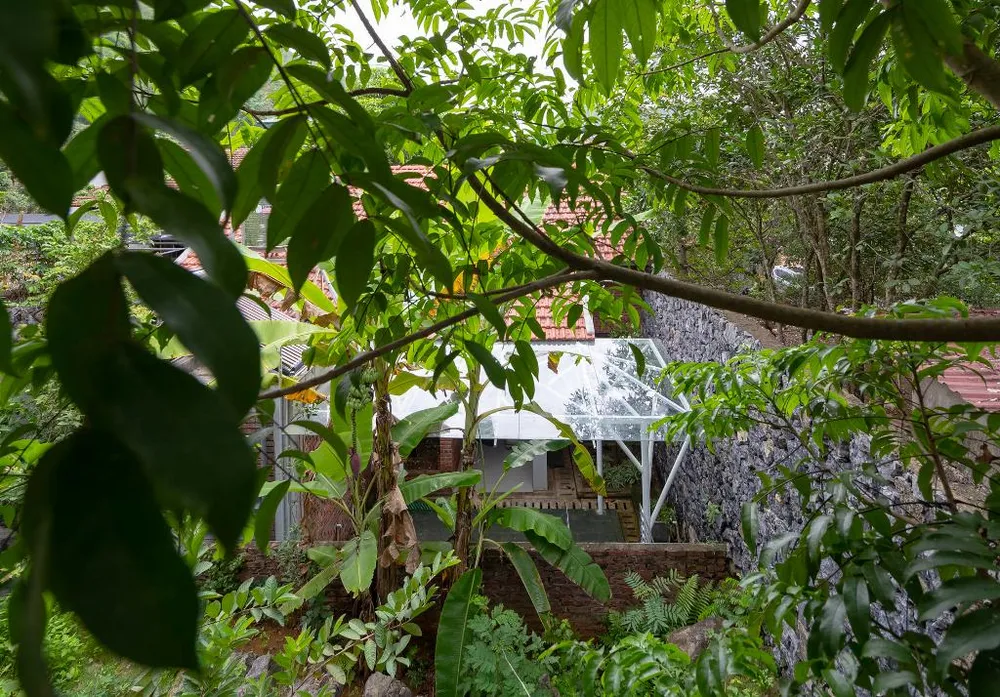 ngoi-nha-moc-mac-duoi-tan-la-cay-15