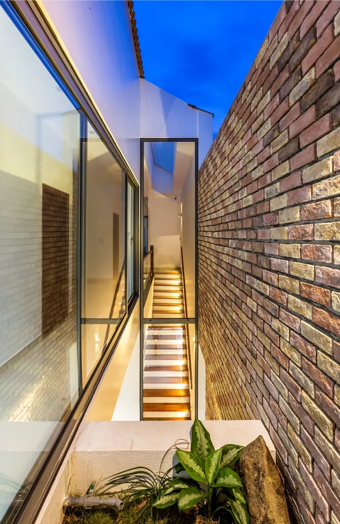 ngoi-nha-lay-y-tuong-tu-nha-rong-15