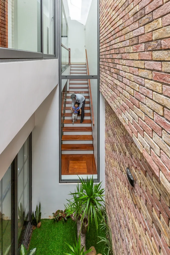 ngoi-nha-lay-y-tuong-tu-nha-rong-17