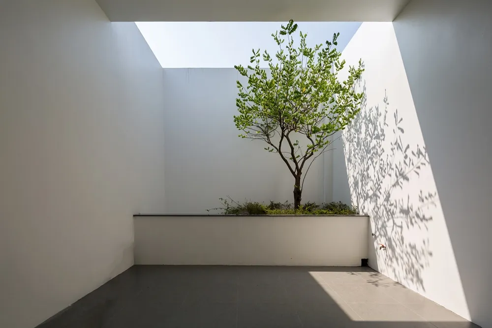 ngoi--nha-co-bon-hoa-o-mat-tien-20