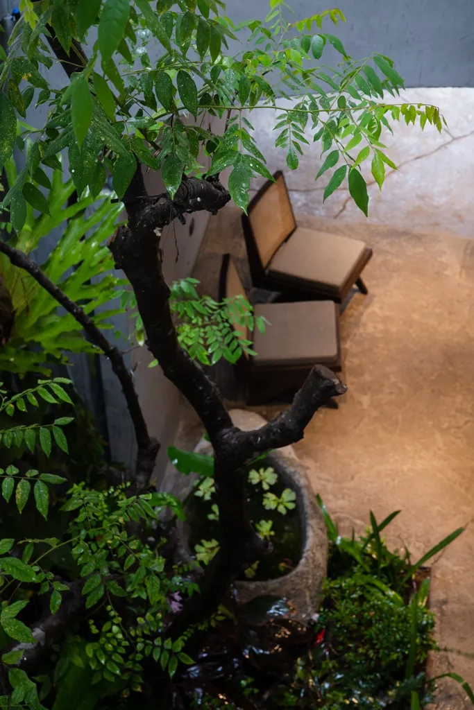 ngoi-nha-co-cau-truc-vom-12