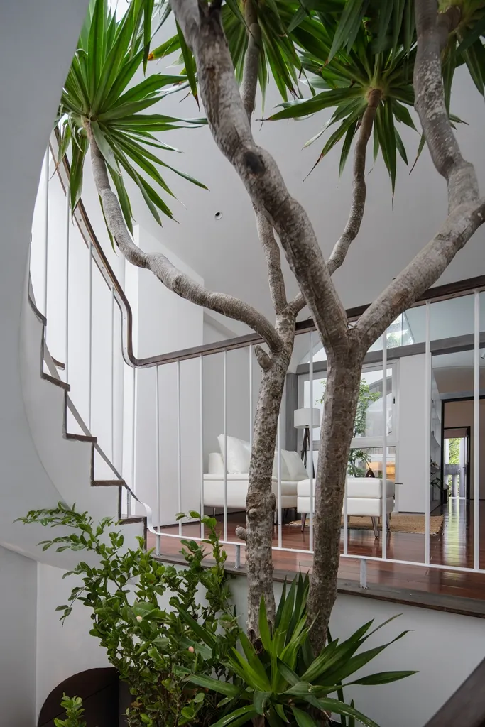 ngoi-nha-co-cau-truc-vom-13