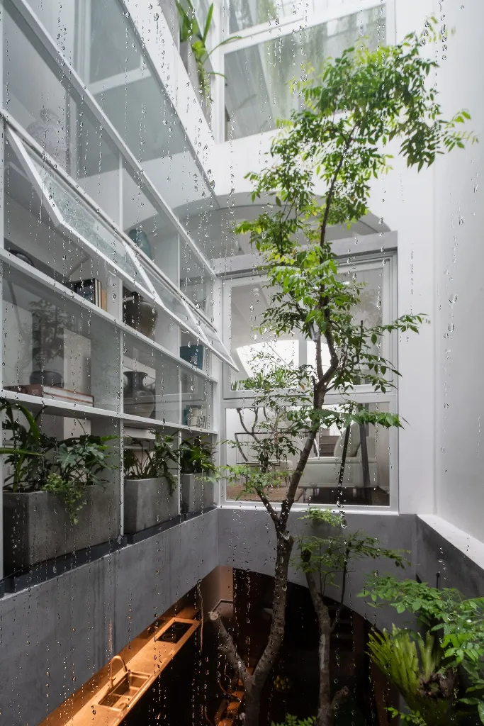 ngoi-nha-co-cau-truc-vom-15