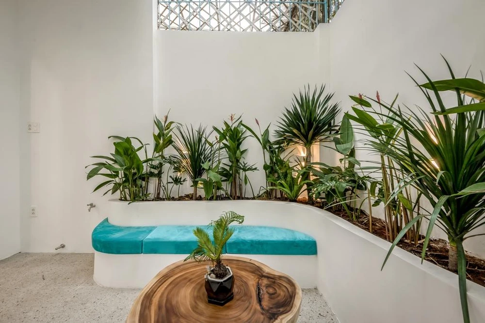 Kiến trúc sư cải tạo lại thành một khoảng sân nhỏ có giếng trời, cây xanh, chỗ ngồi để gia đình có thể quây quần cùng nhau