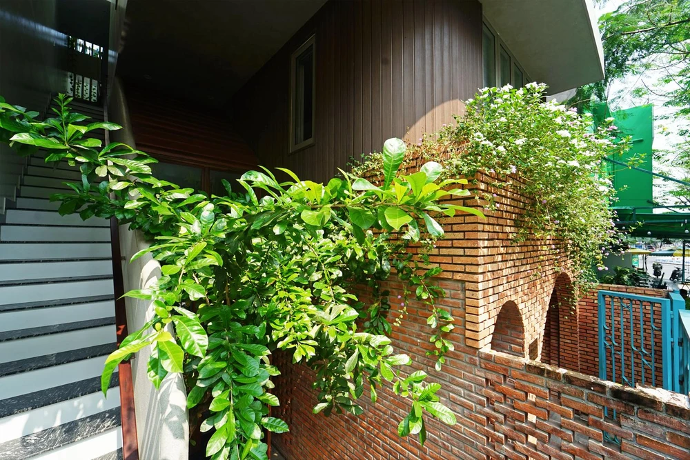 Cây xanh bao quanh mặt tiền nhà Mộc.