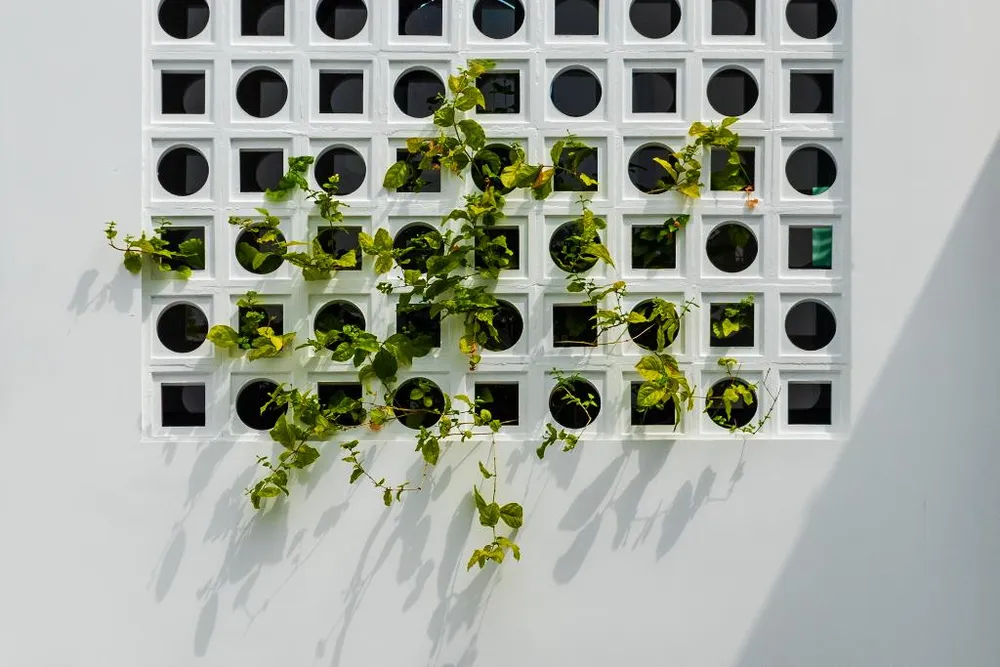 Bức tường hoa gió góp phần làm giảm đi sự bí bách thường thấy của nhà phố.