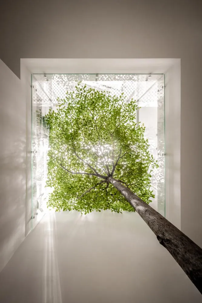 Yêu cầu của gia chủ tập trung vào những không gian riêng tư cho từng thành viên và những không gian chung để gắn kết mọi người trong thời gian sinh hoạt gia đình.