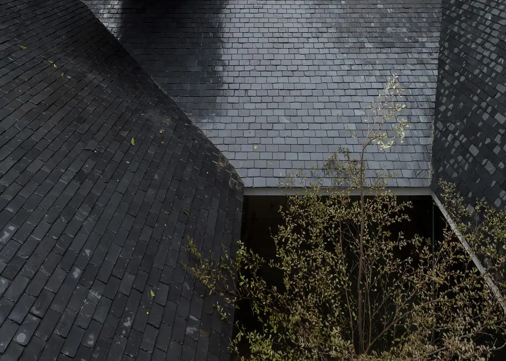 Giữa &quot;chiếc phễu&quot; kiến trúc sư thiết kế một cây xanh cao, vươn đến mái của ngôi nhà.