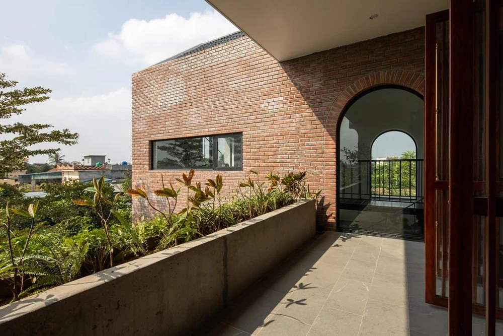 Khoảng trống trong nhà đều được lấp đầy bằng cây xanh.