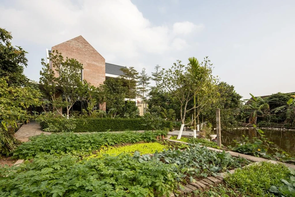 Sau nhà là mô hình “nông nghiệp tự cung tự cấp” như vườn trồng rau và cây ăn quả...