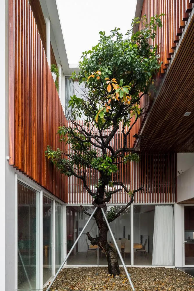 Kết nối hai khối nhà là khoảng trống lớn có trồng cây xanh cao.