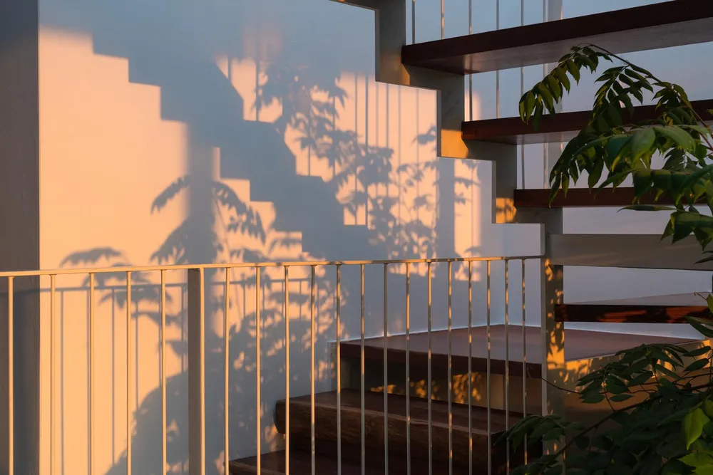 Cây xanh giúp ngôi nhà trở nên xanh mát hơn.