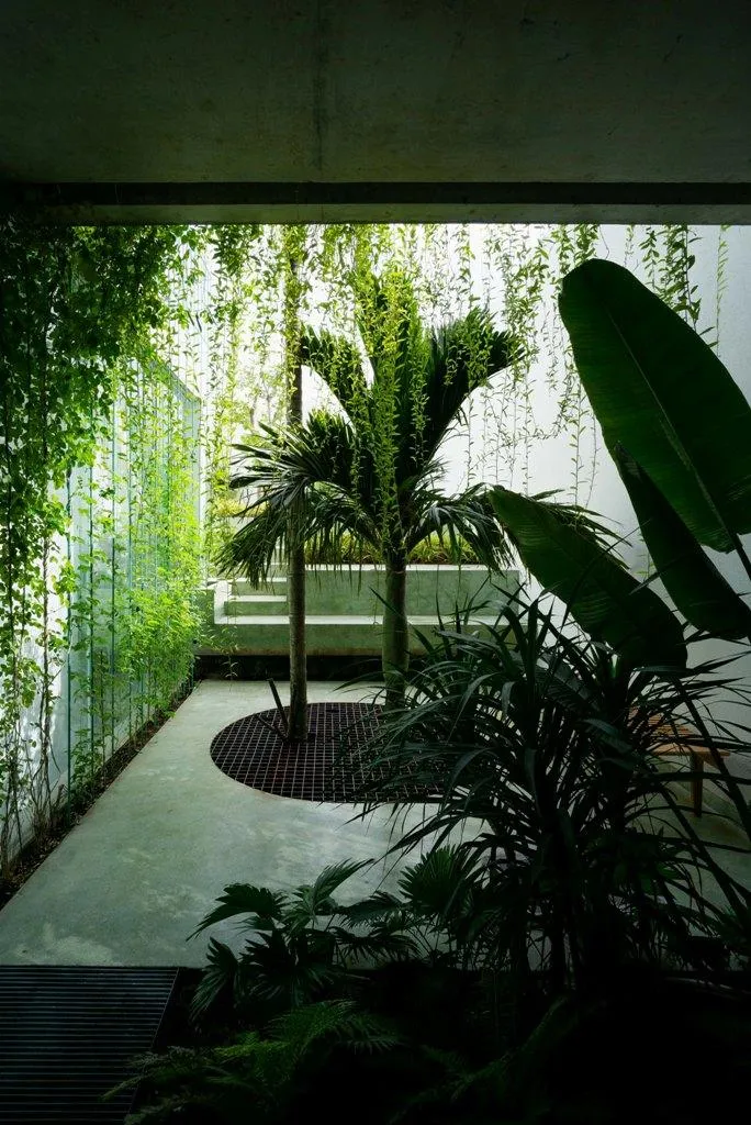 Một màu xanh mướt từ cây xanh ở mọi lúc mọi nơi trong và ngoài nhà.