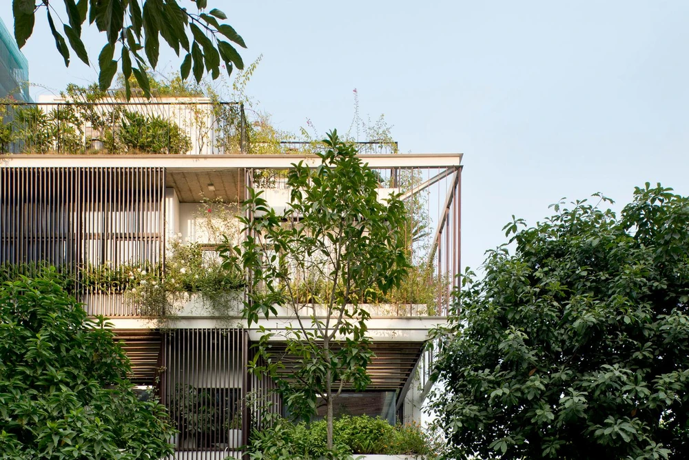 Công trình mang tên Scent house nghĩa là ngôi nhà hương thơm nhờ hương thơm tỏa ra từ cây Mộc và cây xanh, hoa lá phủ kín.