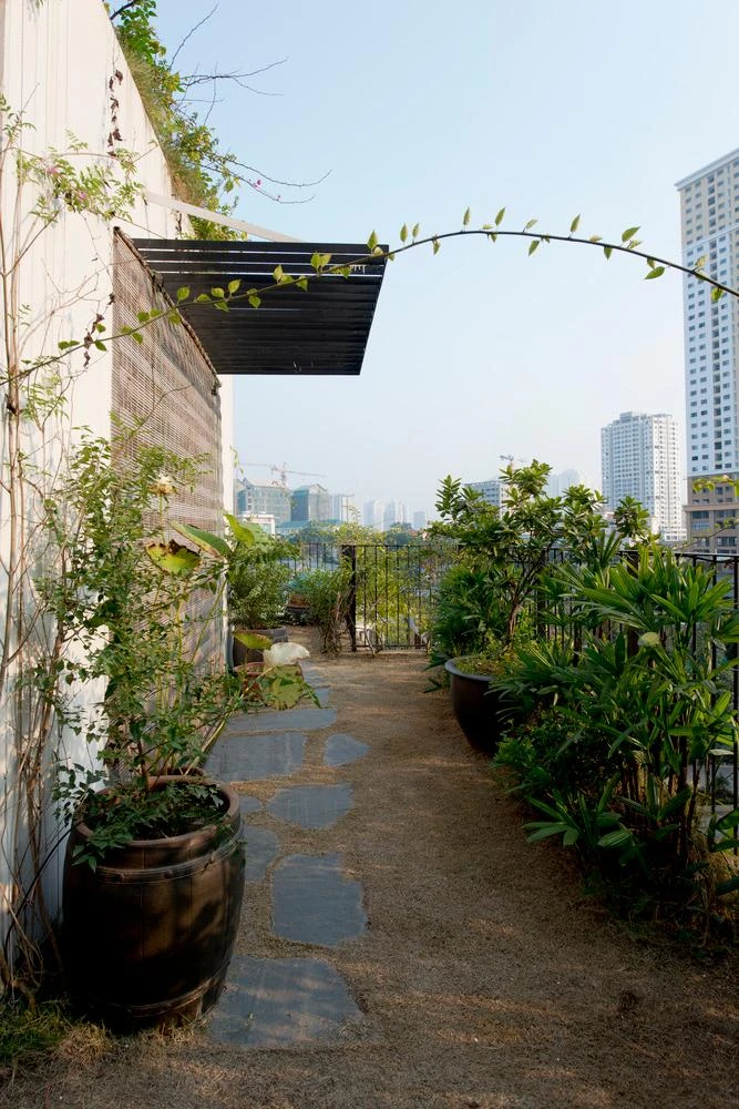 Tầng trên cùng như khu rừng xanh mát.