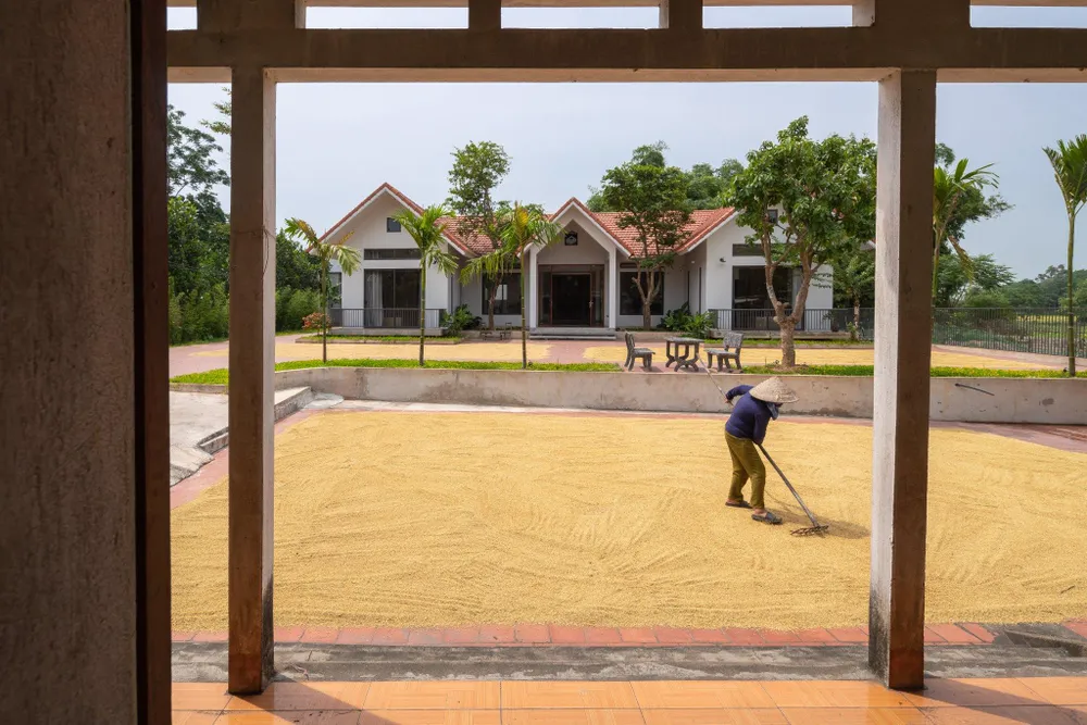 Nơi mà mẹ phơi lúa vào mỗi mùa vụ, nơi con cháu quây quần bên mâm cỗ mỗi lần giỗ chạp, tiệc tùng.