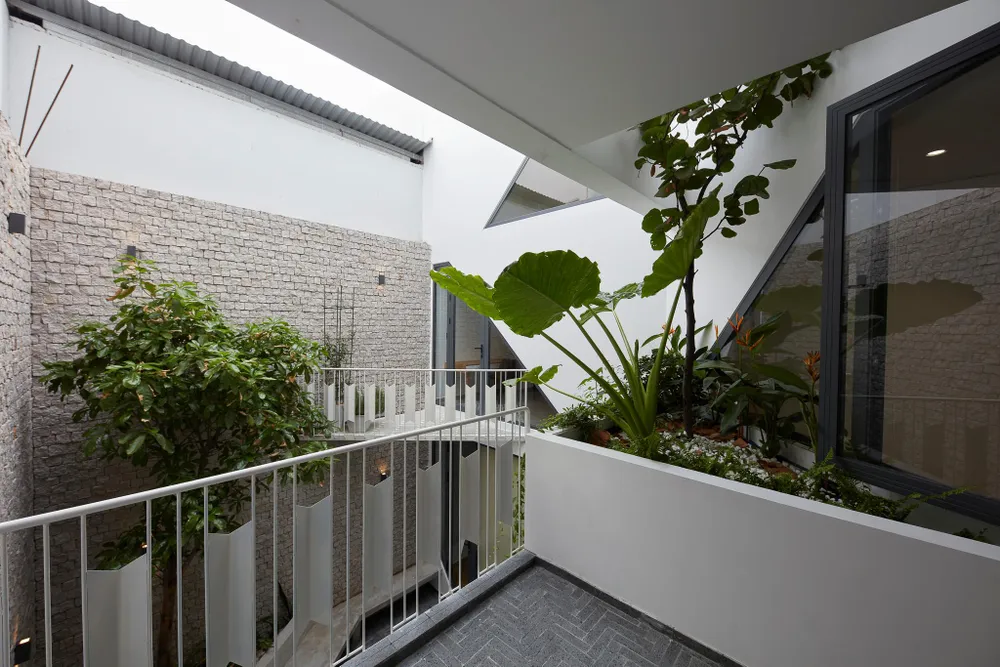 Không gian giếng trời, cây xanh của ngôi nhà.