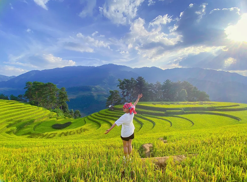Các bạn nhanh chân đến &quot;săn lúa vàng&quot; để có những bức hình đẹp, nhớ đời với khung cảnh ruộng bậc thang bát ngát, bao chill.