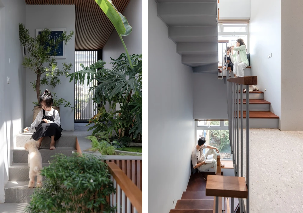 Với hạn chế về chiều ngang hẹp, trục giao thông chính, thang máy, cầu thang giếng trời được đưa về cuối nhà.