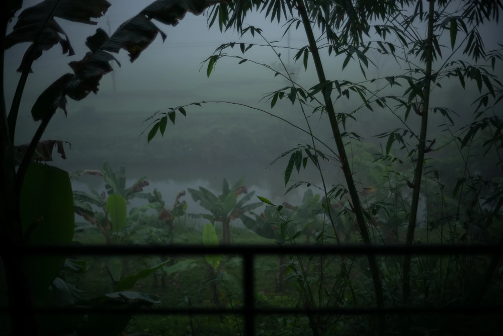 Từ không gian chính có thể nhìn ra cánh đồng xanh và núi rừng.