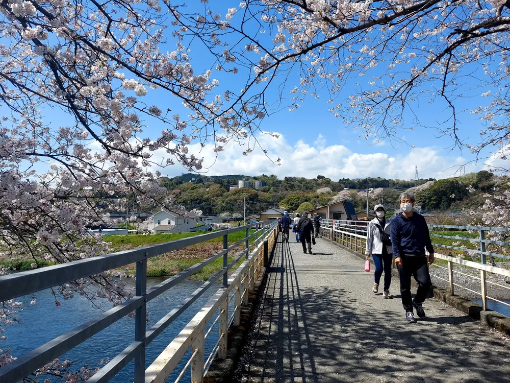 Với 1,2km đường cây anh đào dọc theo hồ, dòng sông Urui nơi có những cảnh lãng mạn như thiên đường.