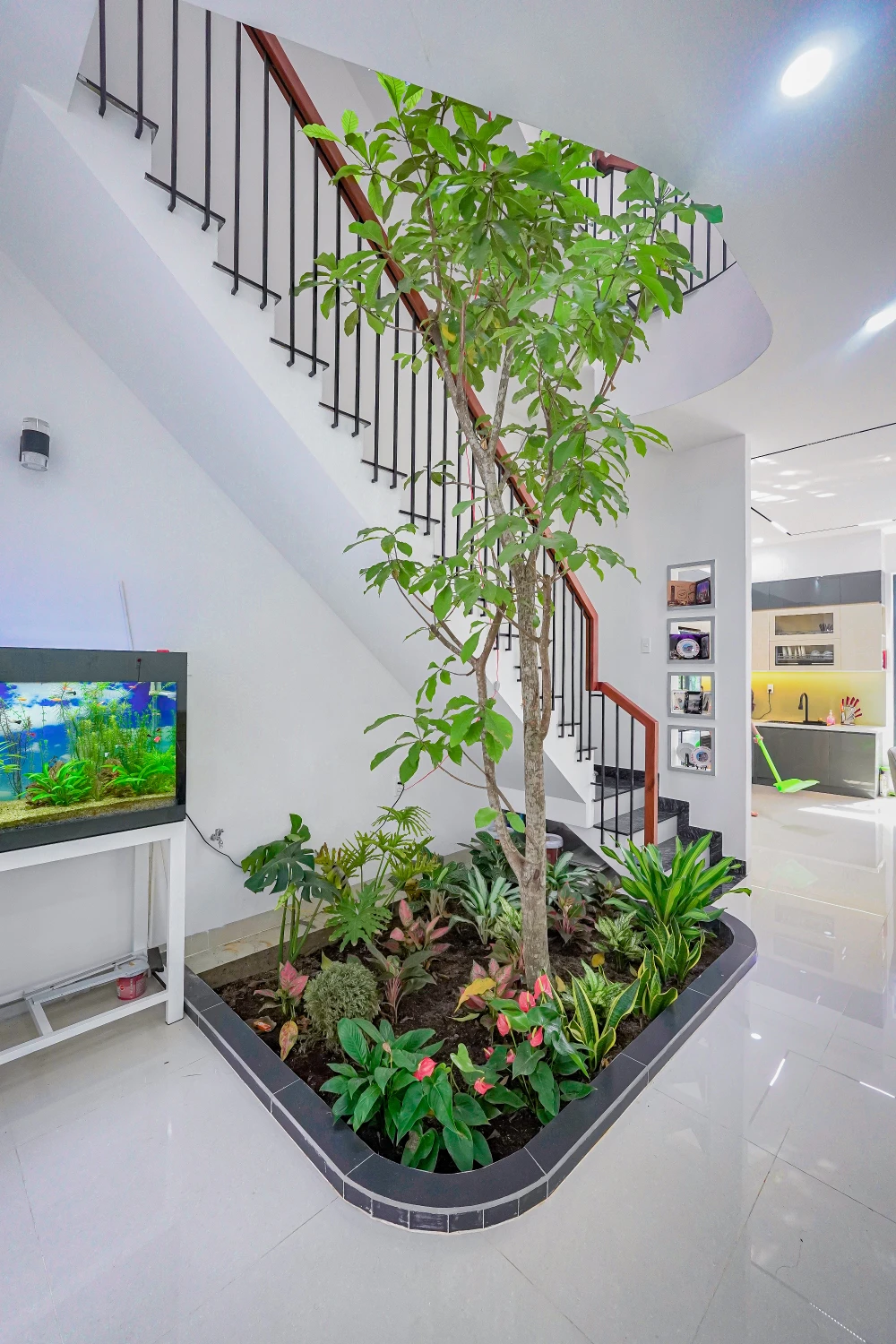 Cây lộc vừng giữa nhà đón nhận ánh sáng từ giếng trời.