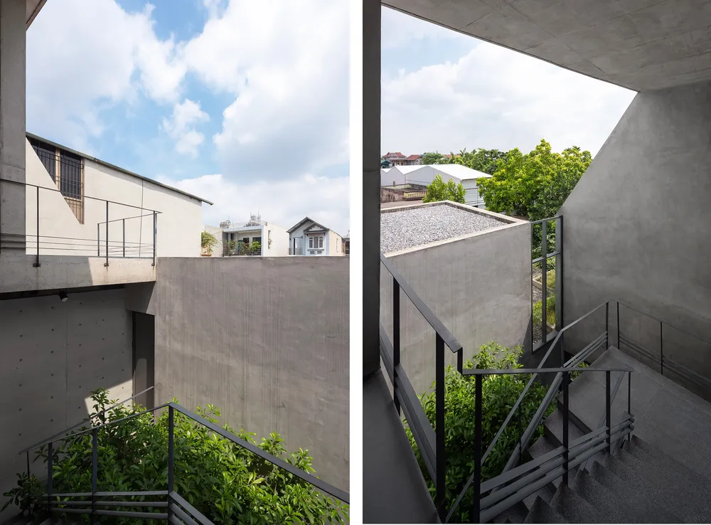 Hai mảng tường chạy dài theo khu đất được phủ xanh bằng cây vảy ốc leo tường.