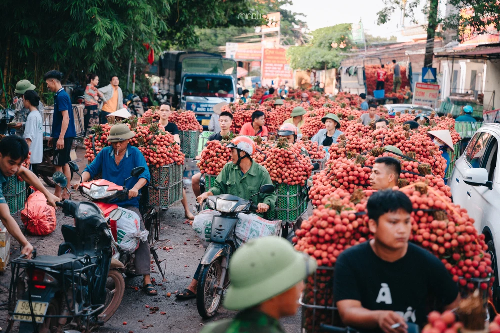 Người nông dân chở từng sọt vải nặng hàng trăm ký ở chợ Tân Sơn.
