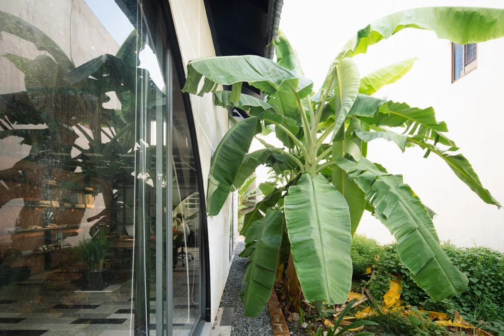 Kiến trúc sư đề cao kiến trúc sinh thái bằng cách sử dụng các nguyên vật liệu thô tái chế và thân thiện với môi trường.