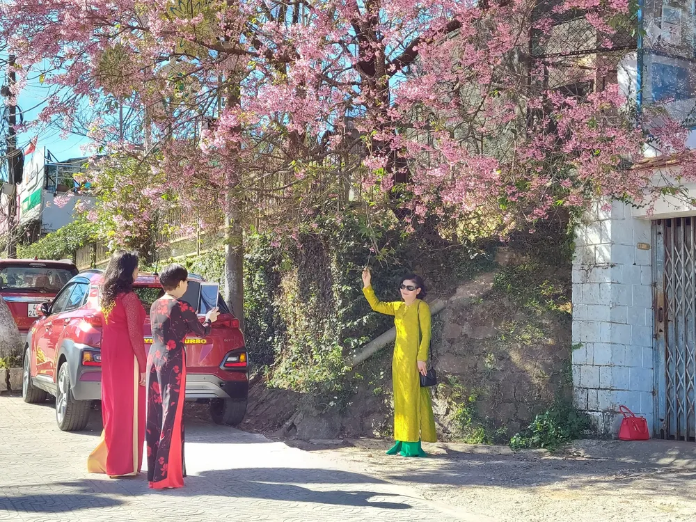 Đà Lạt trở thành điểm đến được du khách Việt Nam tìm kiếm nhiều nhất.