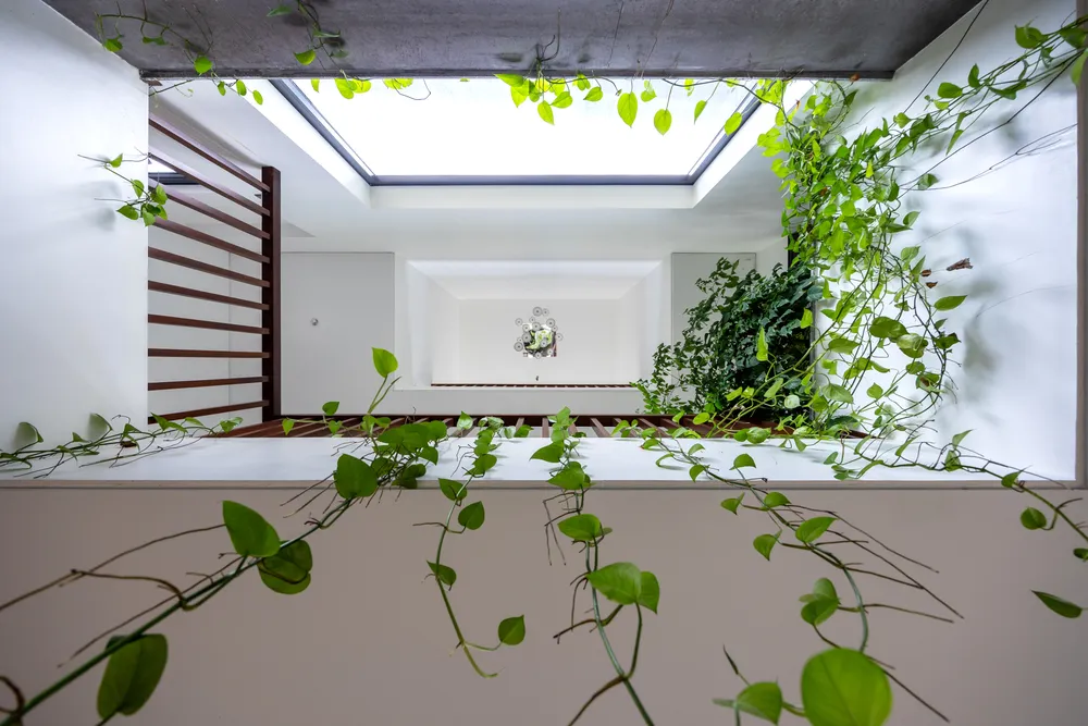 Cây xanh giúp điều hoà không khí mát mẻ trong lành, cũng như khiến cho ngôi nhà hình ziczac này luôn tràn ngập sinh khí và năng lượng tích cực.