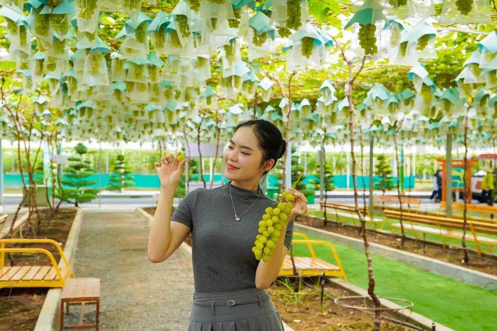 Du khách trải nghiệm hái và thưởng thức trái cây tại vườn. le-hoi-am-thuc-4 (2).jpg