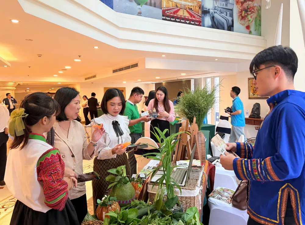 Tại hội nghị, các doanh nghiệp giới thiệu sản phẩm, ký kết hợp tác, xây dựng tour liên tuyến kết hợp khám, chữa bệnh, nghỉ dưỡng. Ảnh: TT.