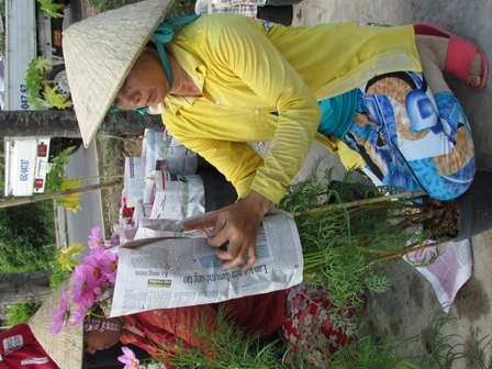 Về làng hoa Sa Đéc chụp ảnh 'tự sướng' ảnh 7