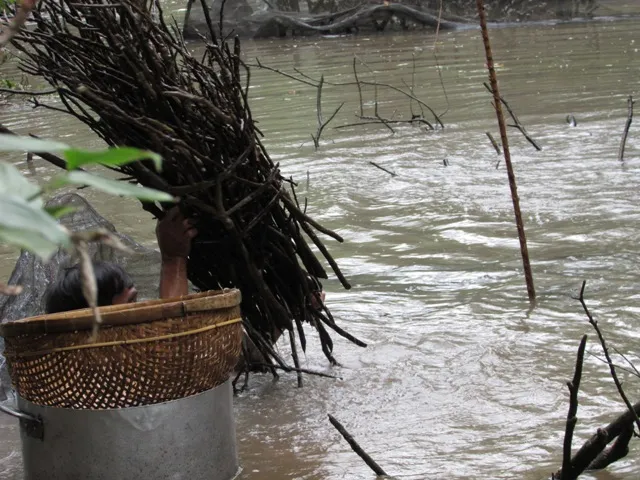 Thú vị với cảnh dỡ chà ăn Tết ở miền Tây ảnh 5