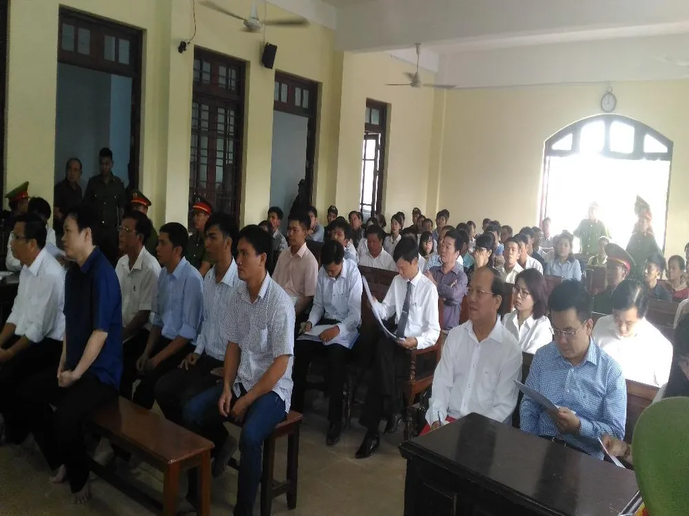 Cần Thơ: 3 cán bộ Agribank hầu tòa vì hơn 300 tỉ