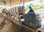 Công ty xin thuê đất tiếp, Sở TN&MT đẩy trách nhiệm lên Bộ ảnh 3 Sau thắng kiện, công ty muốn được thuê đất 50 năm