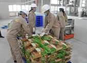 Vụ Đông Xuân 2020-2021 nông dân Miền Tây được mùa, trúng giá ảnh 2 Đầu năm, gạo Việt Nam được nhiều nước mua với giá cao