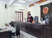 Giám đốc xài bằng giả để khai thác mỏ trái phép ảnh 2 Thẩm phán tuyên 6 người vô tội: 'Tôi không xin ý kiến cấp trên'
