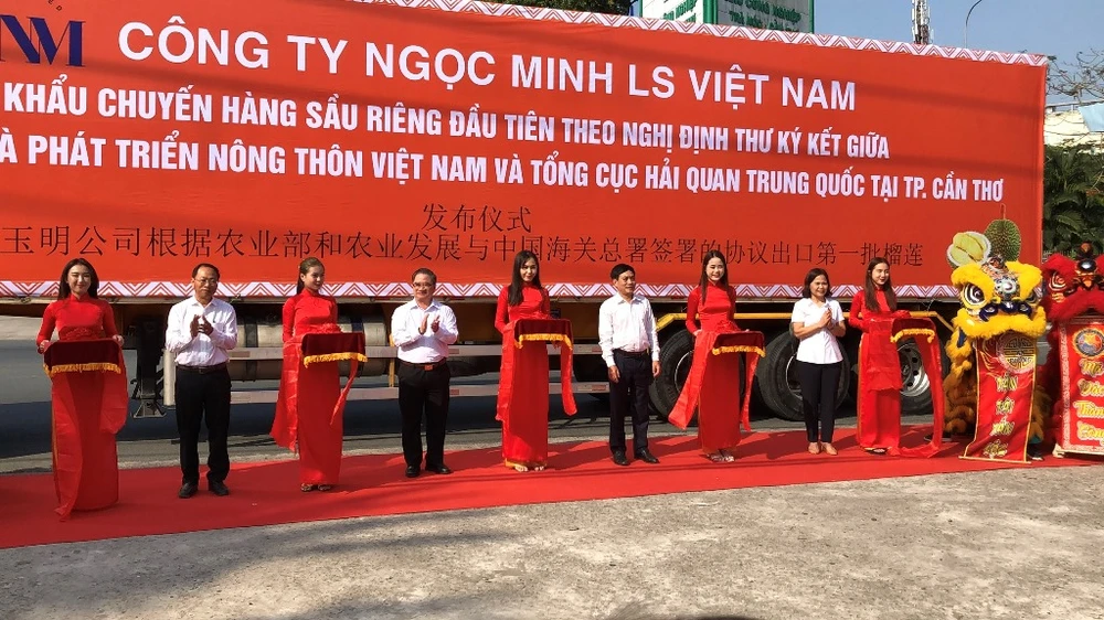 Cần Thơ tổ chức Lễ xuất khẩu chuyến hàng sầu riêng đầu tiên sang Trung Quốc. Ảnh: NHẪN NAM