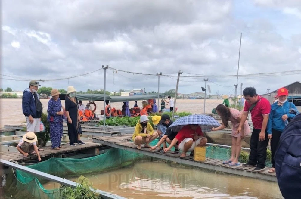 Khách tham quan bè cá tại khu du lịch Cồn Sơn ở Cần Thơ