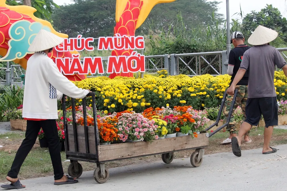 vuon-hoa-nghe-thuat-can-tho (12).JPG