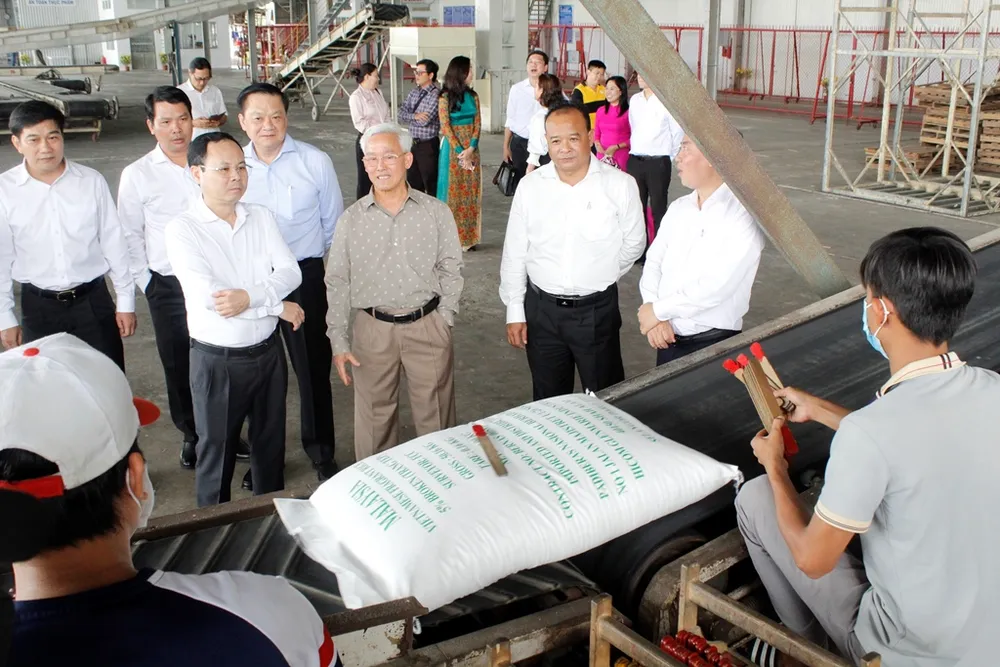Bí thư Nguyễn Văn Hiếu cùng đoàn thăm dây chuyền đưa gạo từ nhà máy xuống thẳng container của Công ty gạo Trung An. Ảnh: NHẪN NAM trung-an-2.JPG