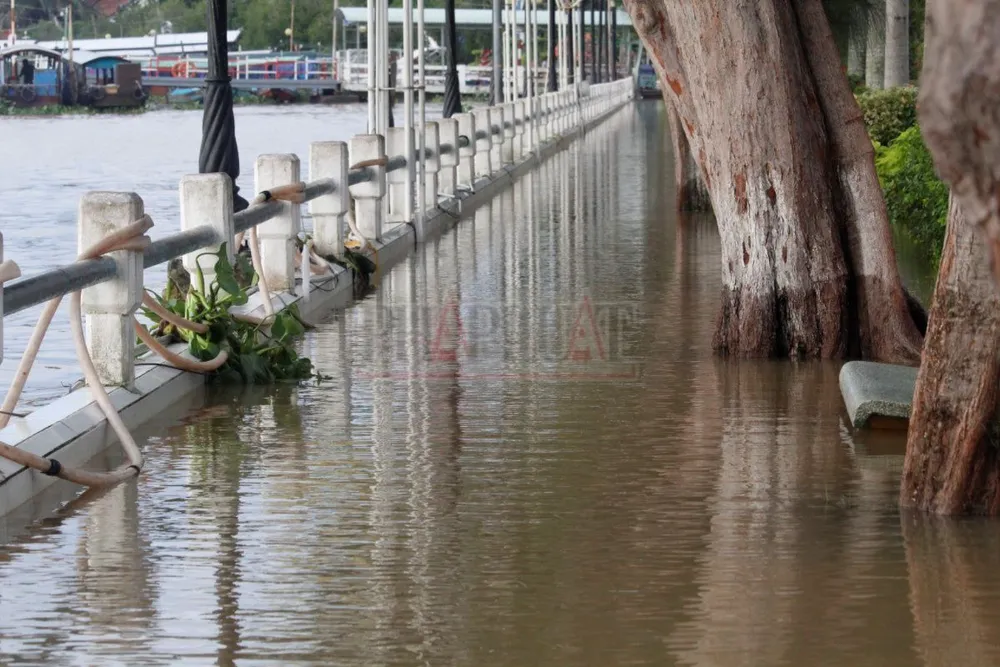 trieu-cuong-tp-can-tho (3).jpg