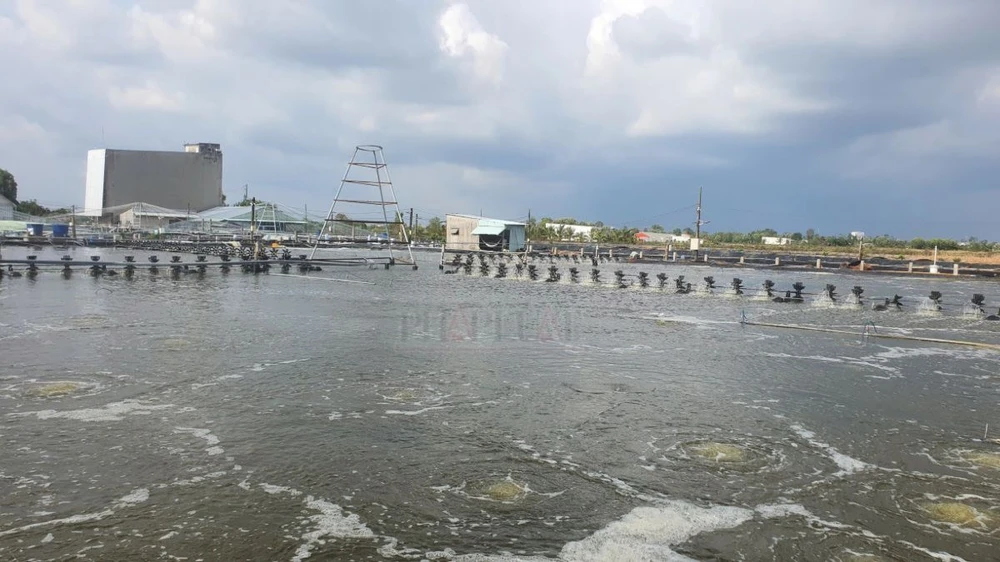 Kiện hàng xóm đòi bồi thường vì để nước sông tràn tự do vào… ao tôm công nghiệp nhà mình