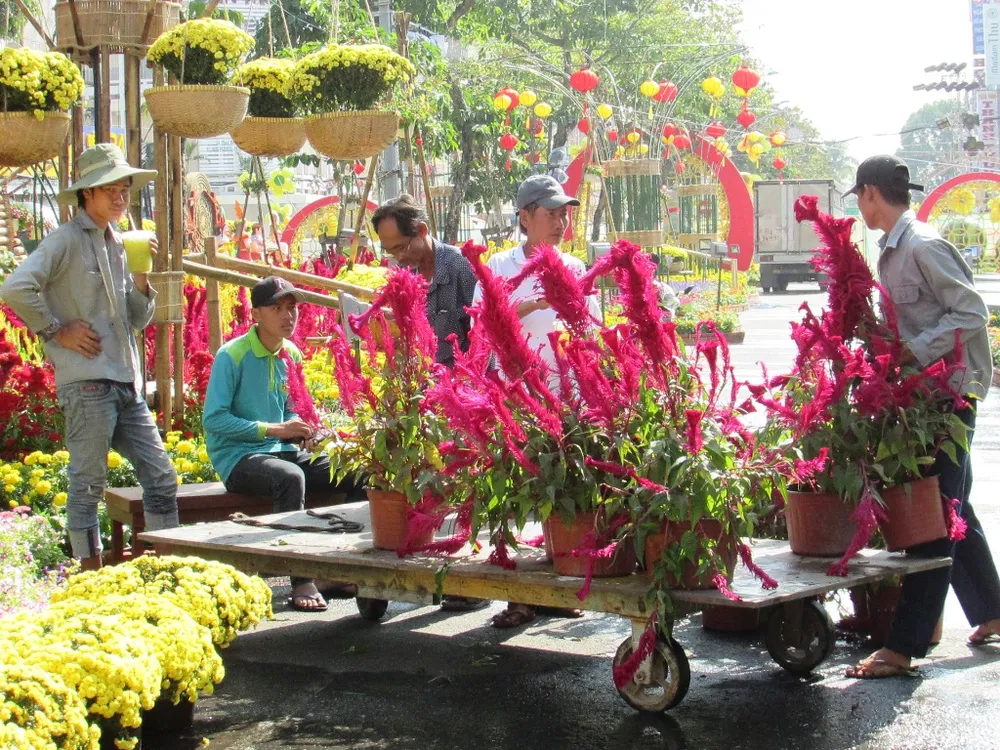 thi công đường hoa nghệ thuật TP Cần Thơ năm 2018.