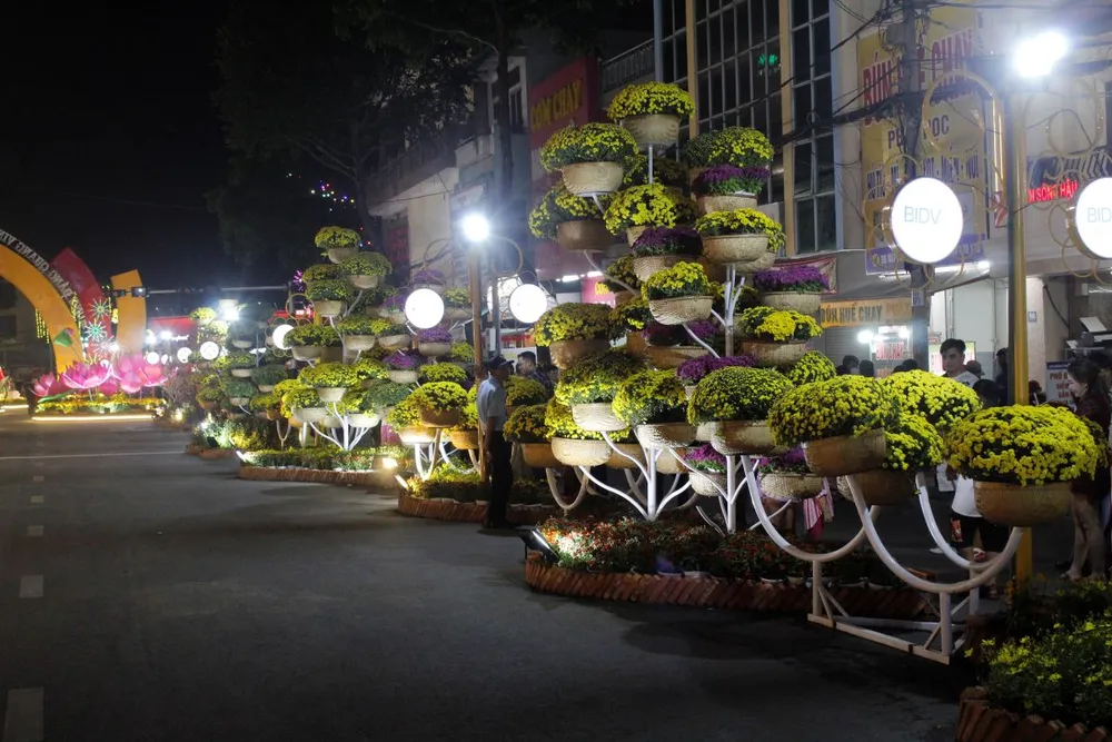 khai-mac-duong-hoa-nghe-thuat-tp-can-tho-1 (7).JPG