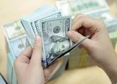USD chợ đen hạ nhiệt ảnh 1 Giá USD chợ đen ‘bay’ nhanh như vũ bão